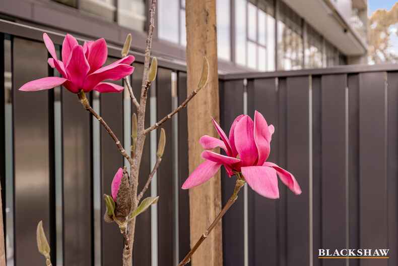 LG08/170 Anthony Rolfe Avenue Gungahlin LG08/170 Anthony Rolfe Avenue Gungahlin