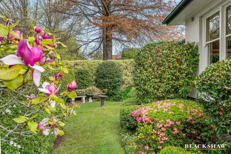 110 Schlich Street Yarralumla 110 Schlich Street Yarralumla