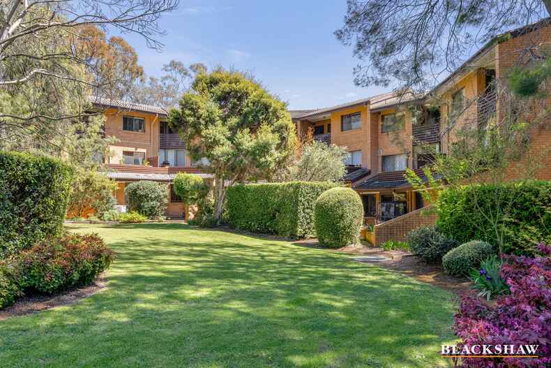 53/17 Medley Street Chifley