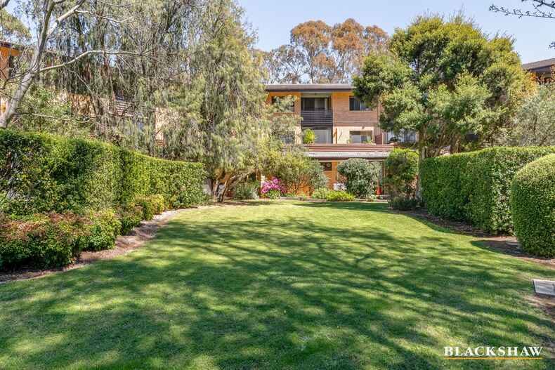 53/17 Medley Street Chifley